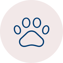 Animal Welfare